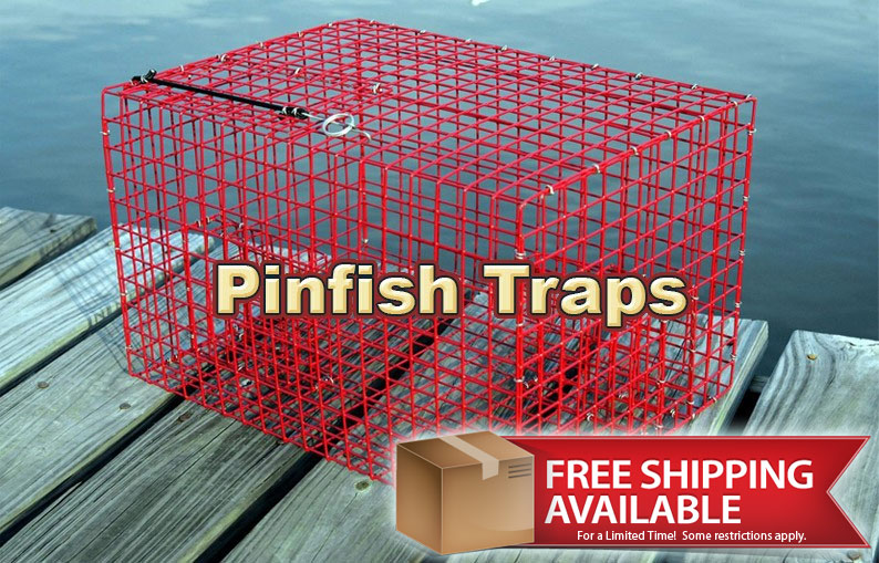 pinfish trap bait