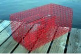 Commercial Pinfish Trap