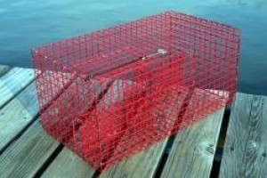 Commercial Pinfish Trap