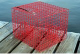 Pinfish Traps  Pinfish Traps, Live Bait Pens, Crab Traps, Vertical Jigs,  Rods & Reels