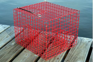 Inshore Pinfish Trap