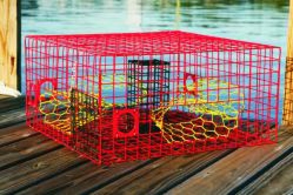 Large Crab - 4 Funnel  Pinfish Traps, Live Bait Pens, Crab Traps, Vertical  Jigs, Rods & Reels