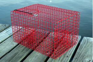 Offshore Pinfish Trap