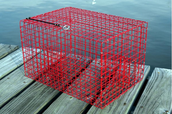 Offshore Pinfish Trap  Pinfish Traps, Live Bait Pens, Crab Traps