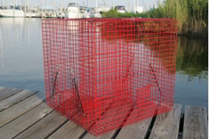 Tournament Pinfish Trap