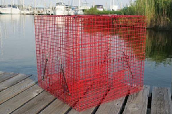 pinfish traps